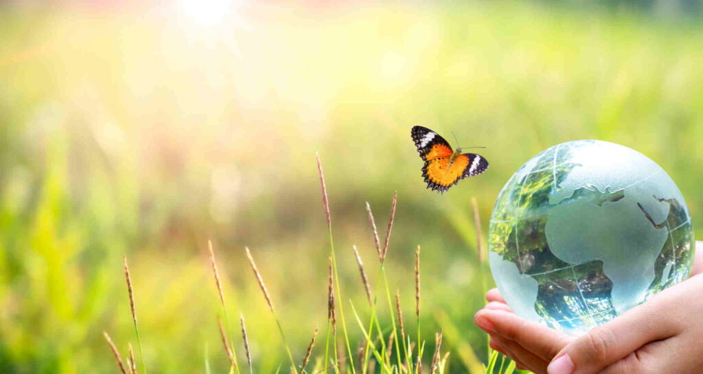 reciclare-sticle-plastic